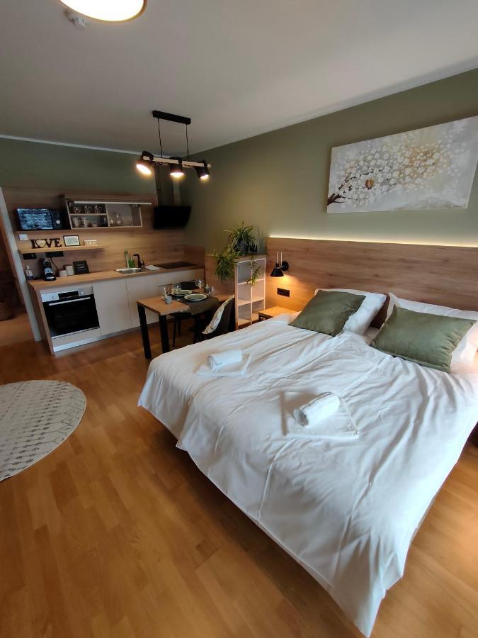 Bed & Breakfast Rezidenca Pipanova Любляна Екстериор снимка