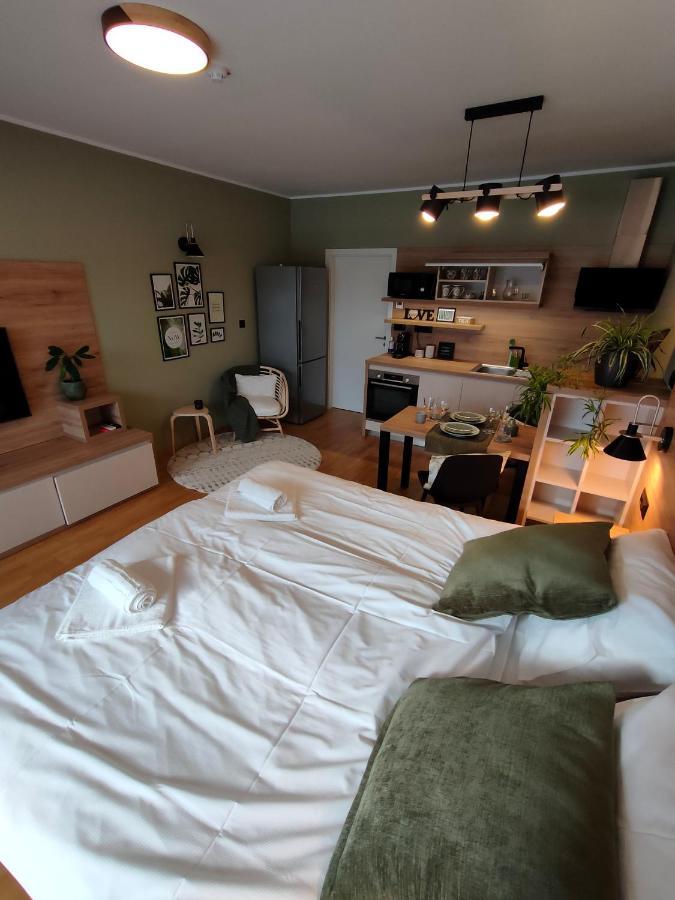 Bed & Breakfast Rezidenca Pipanova Любляна Екстериор снимка